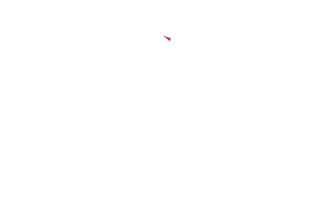 phenix-logo-white-footer